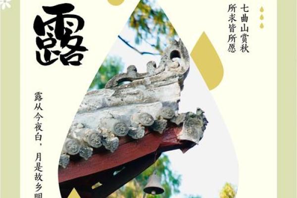 ——传统养生文化中的“白露节气”与秋季保健之道