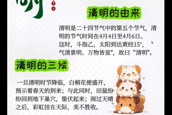 清明节是什么节日？解读祭祖与自然节令的关系