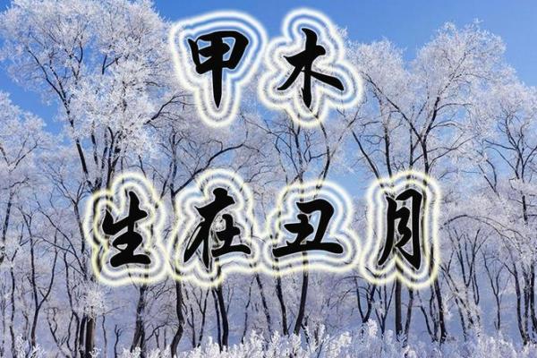 二月甲木命理误区揭秘 反而能改变你的命运走向