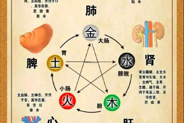 五行格局背后的秘密：如何通过性格解析发现人生的真正轨迹