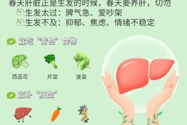 二月养生小贴士：春季养肝防病的健康食谱
