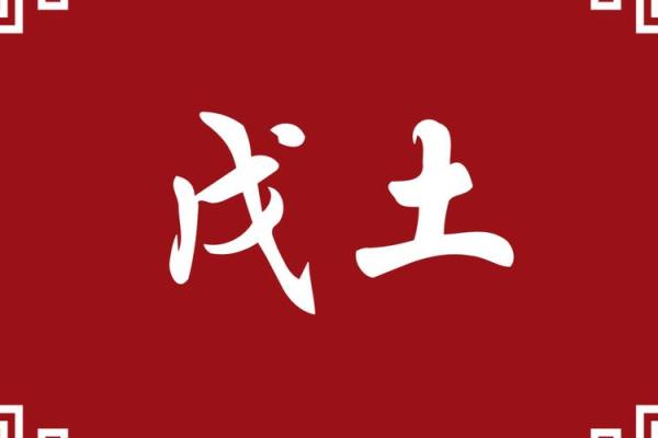 戊土命理揭秘：命运密码如何解锁你的潜力