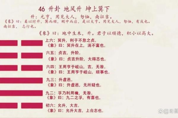 如何通过命理阙字解锁你的命运密码，改变命运从这里开始