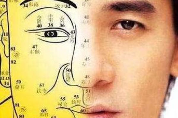 高晓松命理颠覆传统：命运密码的深层解读