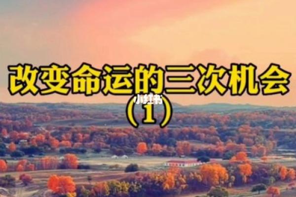 颠覆传统！汽车选择中的命运密码，了解后能改变你的人生