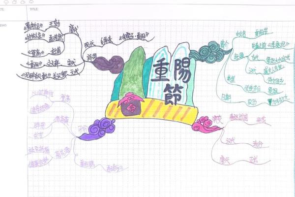 重阳节的社会文化应用：传承与创新的双重意义