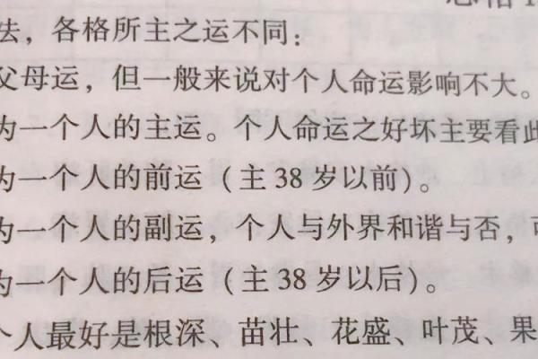 如何破解命运密码：命理三元带你揭开人生秘密