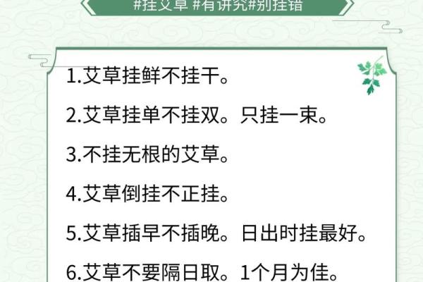 端午古诗词：从习俗看龙舟与艾草的文化象征