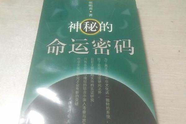 杨澜八字命理中的神秘力量：如何利用命运密码实现自我突破