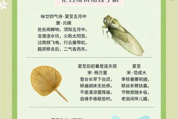 夏至假期如何借天文现象调整作息与健康