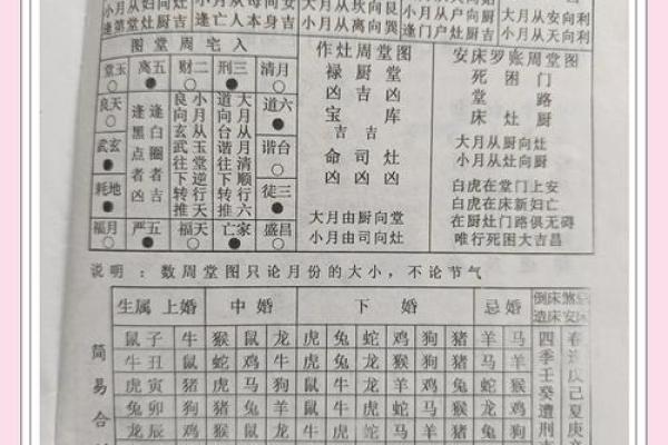 揭秘生辰八字算命软件下载：合婚看哪些关键因素？