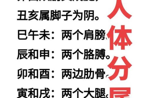 古代命理中的暗藏玄机，掌握这些技巧让你改变命运