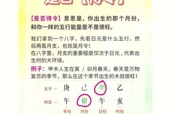 命运密码揭示：你是否误解了八字命理的真相？