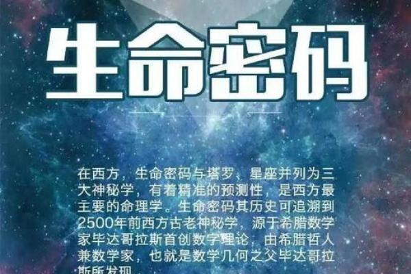 如何通过数字命理揭开你的命运密码，改变人生轨迹