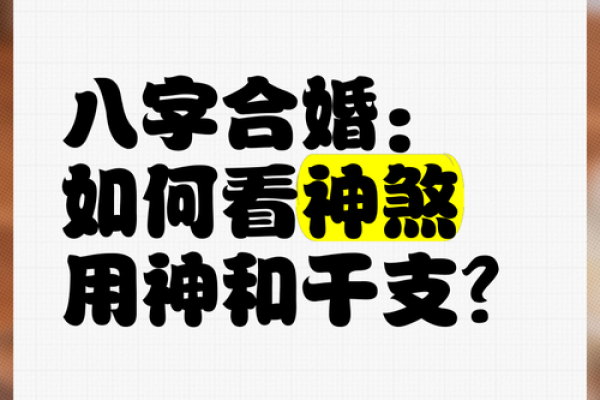揭秘杳生辰八字：能改运吗？合婚看什么？