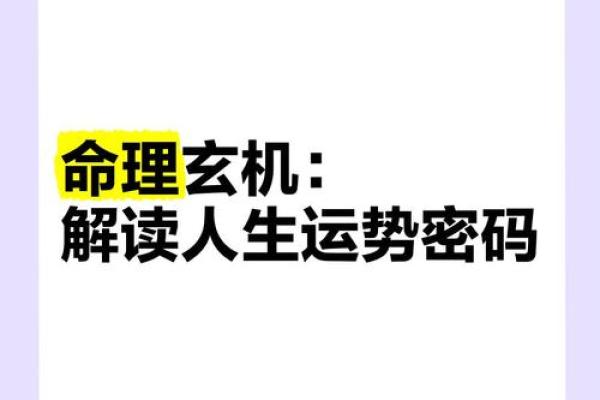 命运密码大揭秘：命理革命背后的暗藏玄机，你了解多少？