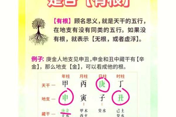 如何通过八字命理破解命运密码，揭开暗藏玄机