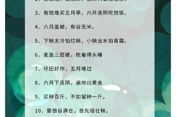 农耕历史：立春与农忙的早期联系