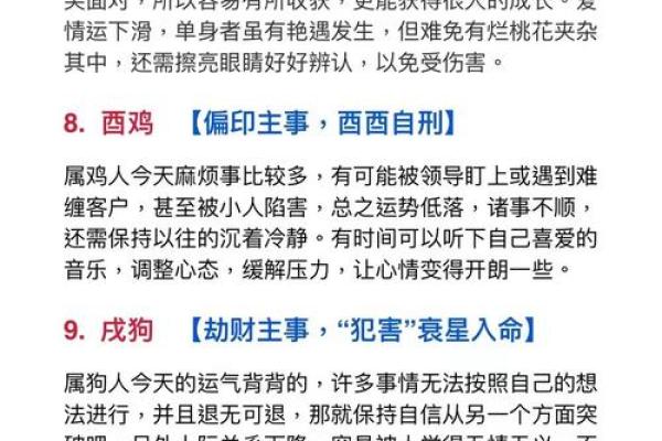 生辰八字与生肖关系深揭秘，如何改善命运走向？