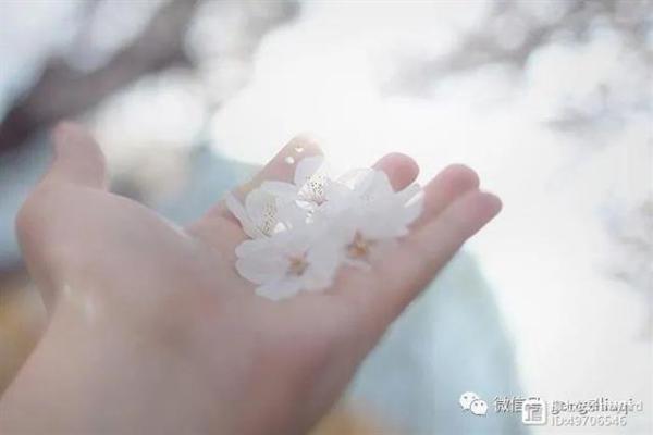 大S命理分析：颠覆常规的命运密码，如何让命运为你所用？