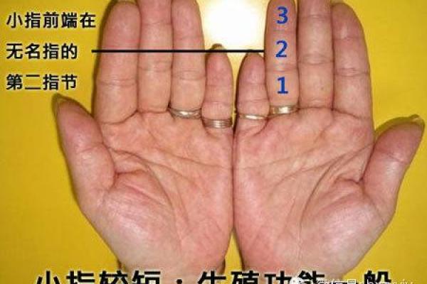 大S命理分析：颠覆常规的命运密码，如何让命运为你所用？