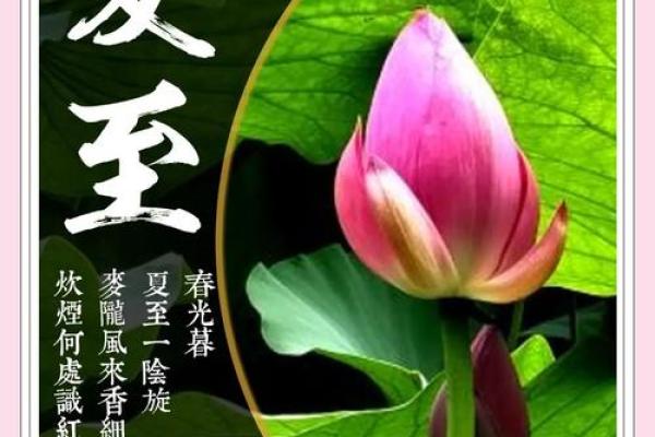 夏至节气与养生之道的古老智慧