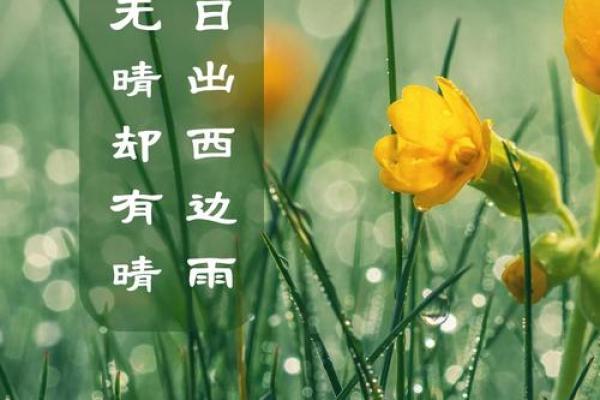 夏至节气，带你了解农耕社会的时令习俗