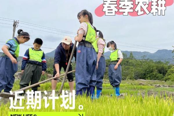 万圣节的农耕节气与丰收庆典的渊源