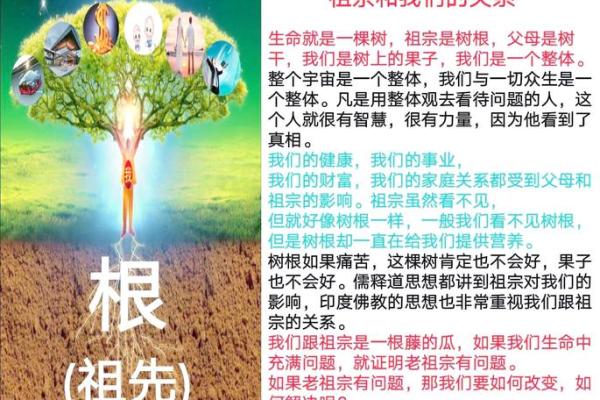 复活节的宗教文化与春季养生哲学
