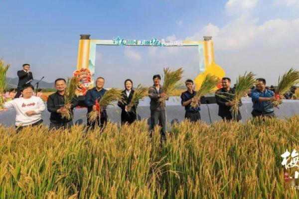 哈萨克秋收节：庆祝粮仓满盈与感恩大自然赐予
