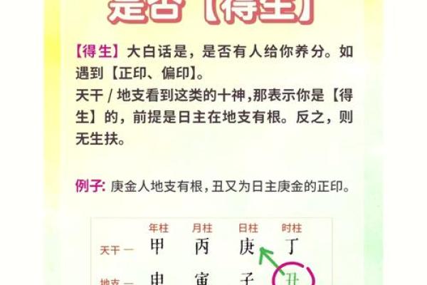 从误区到真理：八字命理如何帮你破解命运密码