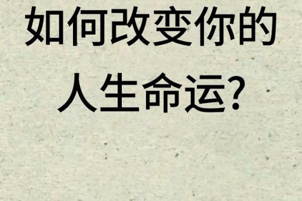 颠覆你对命运的认知：八字命理如何改变你的职业道路