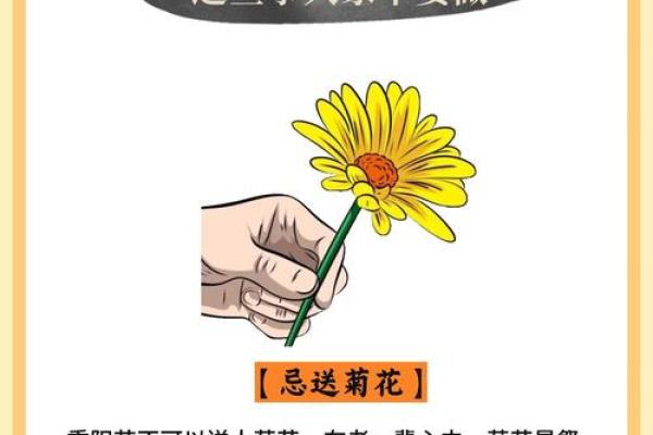 论重阳节的登高习俗与老年人健康