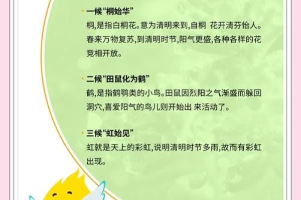 清明节祭祖习俗背后的农耕文化传承