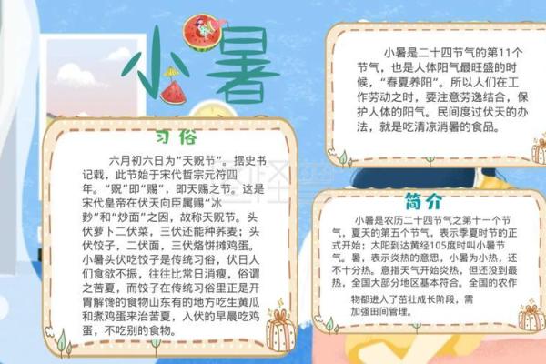 七七节气的应用：如何根据节气调整饮食与作息