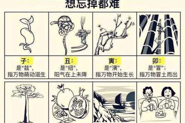 如何改变辛卯命理中的命运走向？揭秘其中的暗藏玄机
