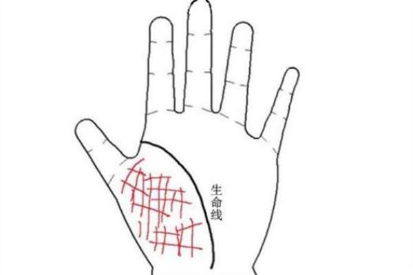 画家命理八字揭示你的命运密码，如何通过它突破创作瓶颈