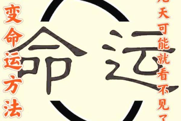 如何改变命运？五行八字的力量与调整方法