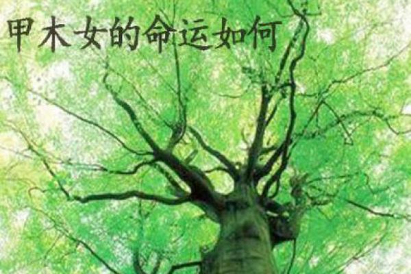 解密马克龙的命运密码：八字中的深层次启示
