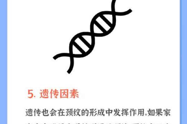 如何改变命运：颈纹与八字的神秘联系