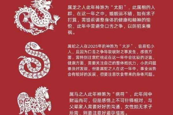揭秘生辰八字能改运吗？合婚看什么？命运不同如何调整