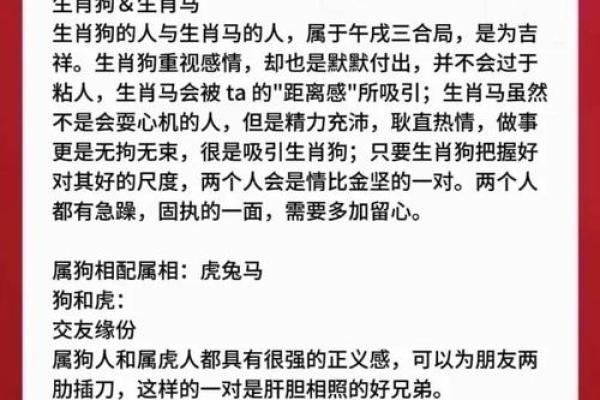 属狗生辰八字深度解析：能改运吗？合婚要看哪些关键点？