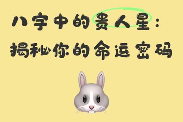 命运密码揭示八字中的隐藏玄机