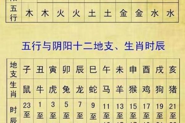 根据生辰八字测五行，如何通过五行调节命运？