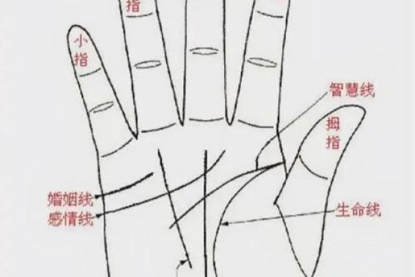 探索命运密码：风水命理如何揭开人生的暗藏玄机