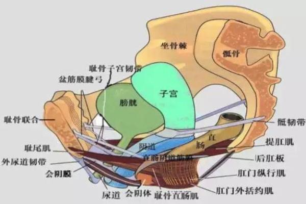 早产儿八字揭示：你所不知道的命运颠覆之道