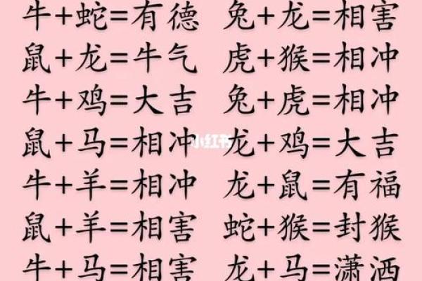 属猪生辰八字合婚看什么？解析婚姻中的八字匹配
