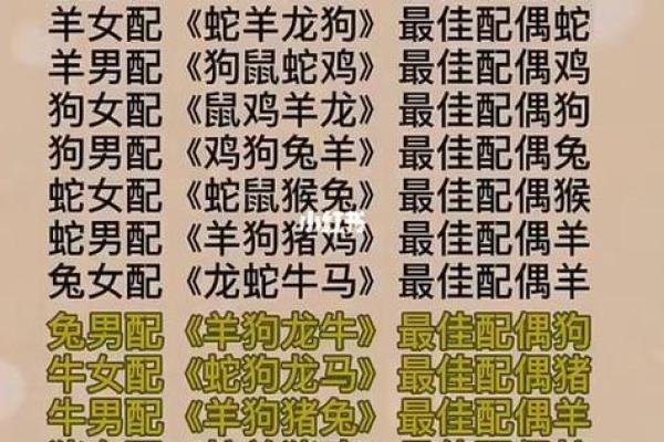 属猪生辰八字合婚看什么？解析婚姻中的八字匹配