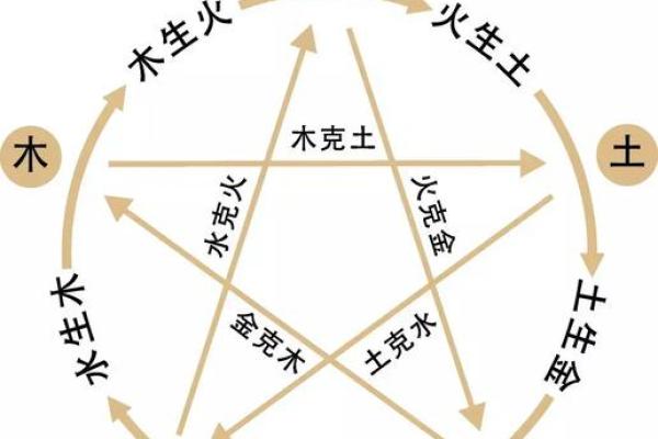 白毛命理：解密命运密码，如何通过八字掌握人生转机