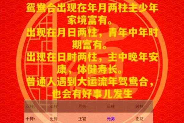 深度解析生辰八字对个人命运的影响，合婚看什么？